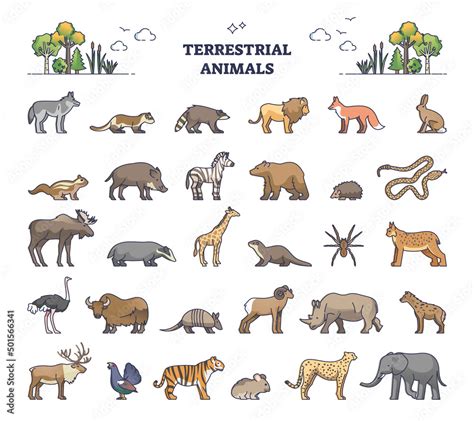 Terrestrial Animals Photos and Premium High Res Pictures.